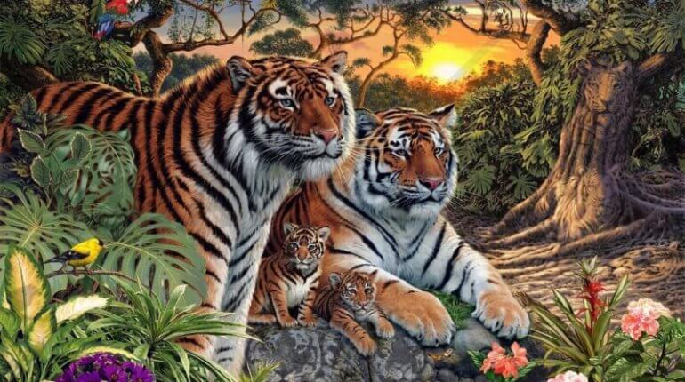 Hány tigris van összesen a képen? Mindenki mást mond