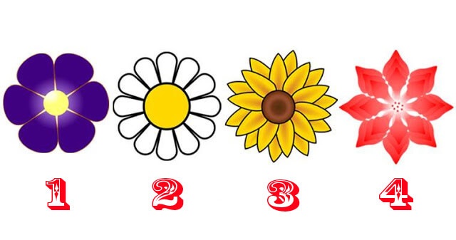Angyali üzenet - Válassz egy virágot