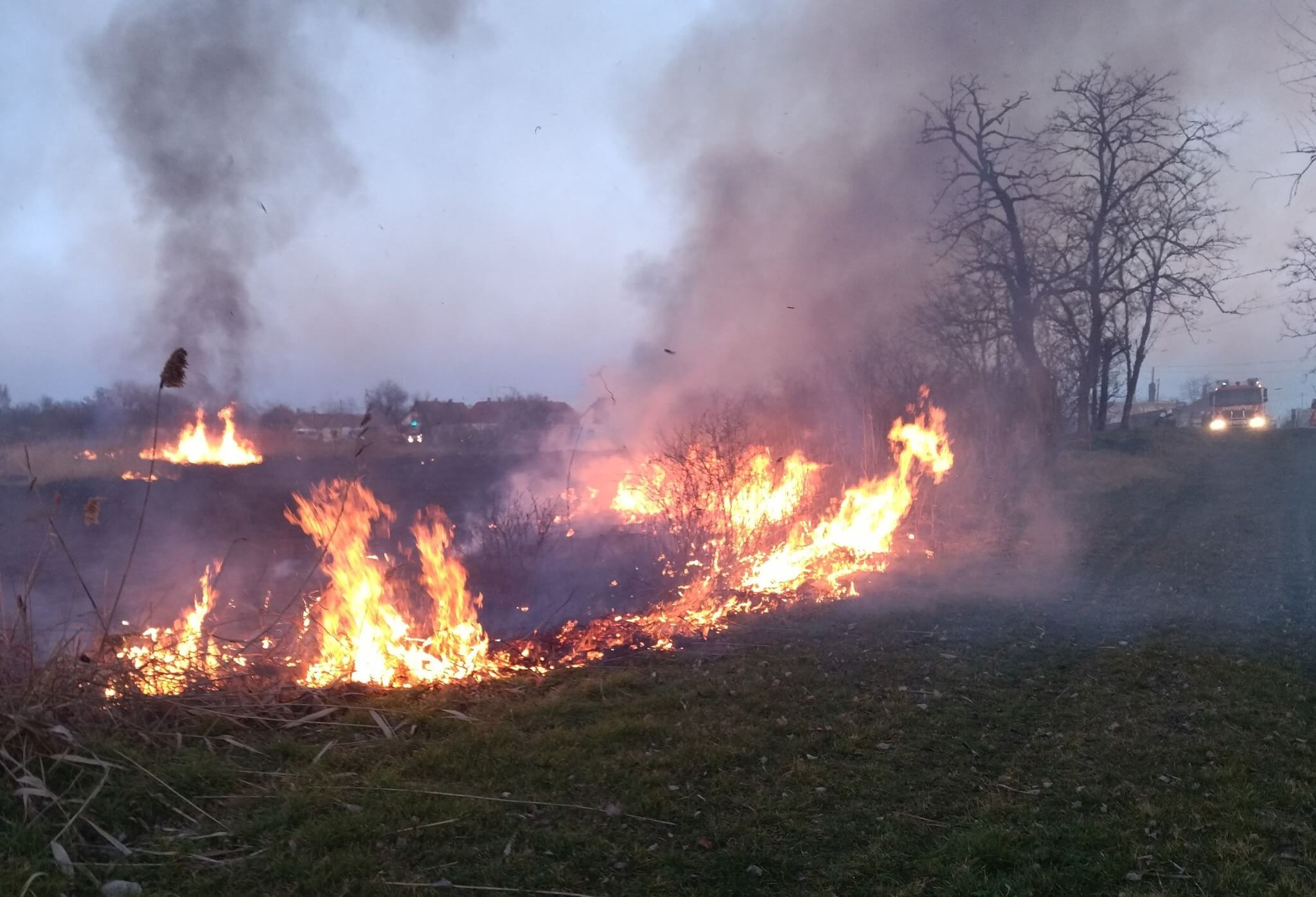Idén már 734 szabadtéri tűz tombolt Magyarországon