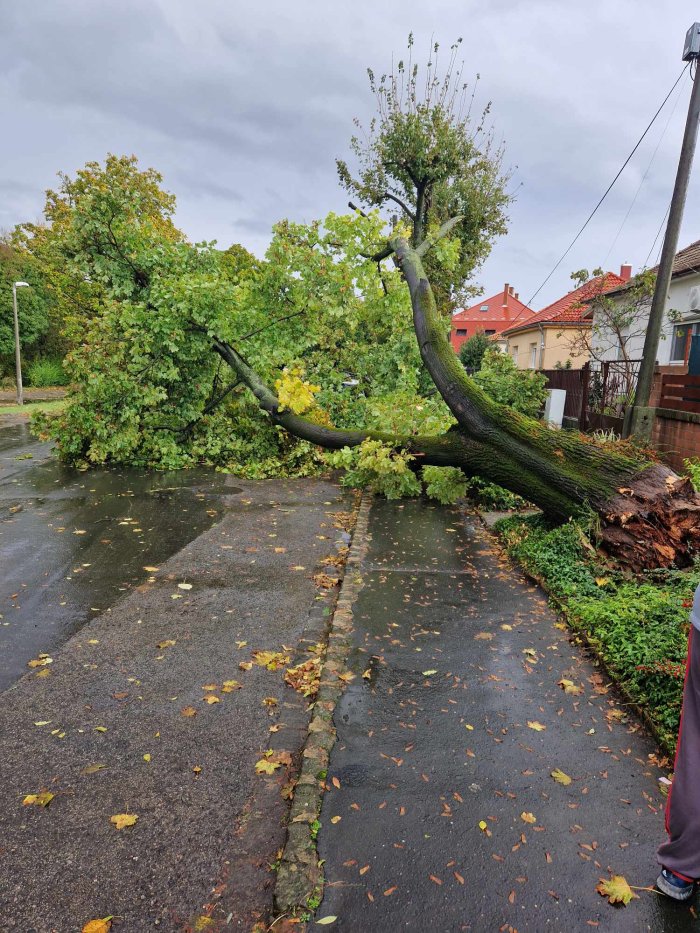 Óriási vihar csapott le Komlóra, Pécsre - Percek alatt borult minden sötétségbe