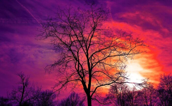 Ilyen ember vagy a lelked mélyén - Ez a teszt mindent elárul