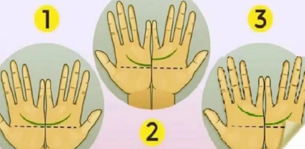 A szívvonal formáinak és elhelyezkedésének jelentése