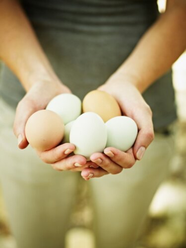 Napi 2 tojás - 9 meglepő egészségügyi előny, amit nem gondolnál