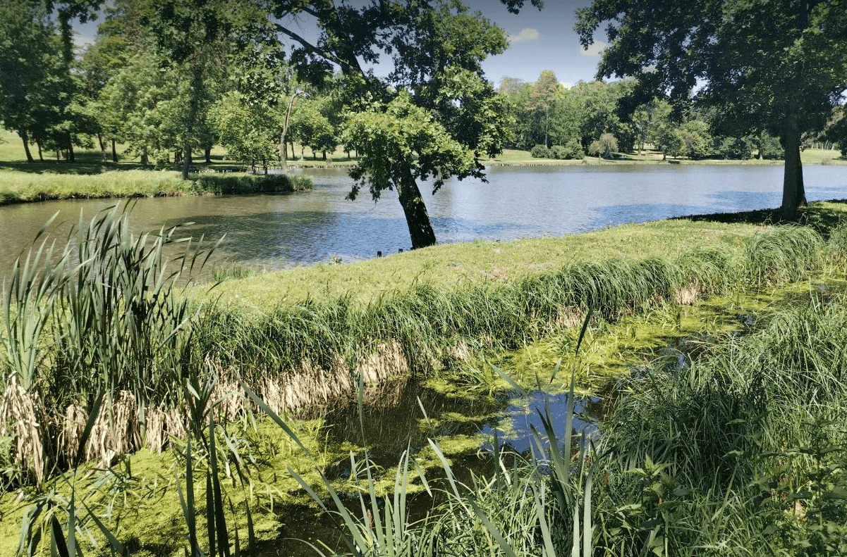 Tavaszi kirándulás - Hasznos tippek a felejthetetlen közös programhoz