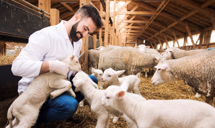 Ezért fontos a levegőtisztítás - A szakértő kifejti az okokat