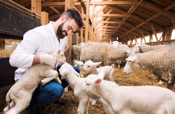 Ezért fontos a levegőtisztítás - A szakértő kifejti az okokat