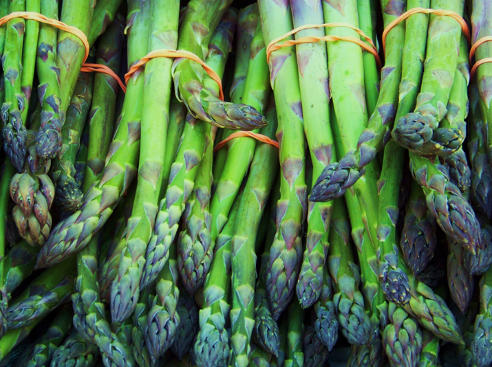 A spárga különleges világa