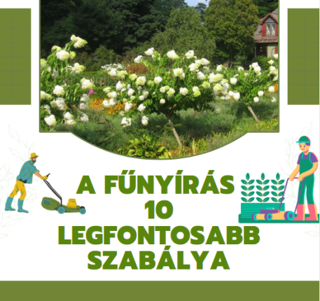 A fűnyírás 10 legfontosabb szabálya