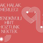 Bak, Halak, Mérleg! Rendkívüli hírt hoztunk nektek