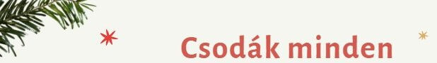 8 varázslatos adventi program – Csodák minden hétvégére