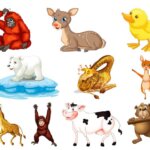 A legelső állat amit meglátsz, elárulja milyen lesz a 2026-os éved