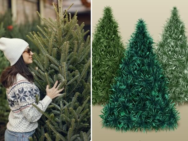 Mini teszt: Melyik fenyő illik hozzád? - Ez az 5 kérdés elárulja