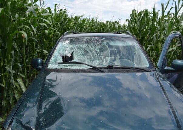 Kerékpárost szándékosan gázolták – emberölés a vád”